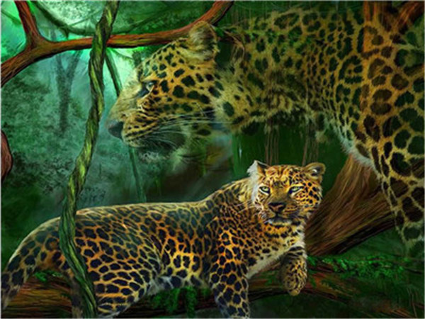 Картина для малювання за номерами (Леопарди) 40*50 см. в картон. короб. пенз. фарби. арт.5103 VGR