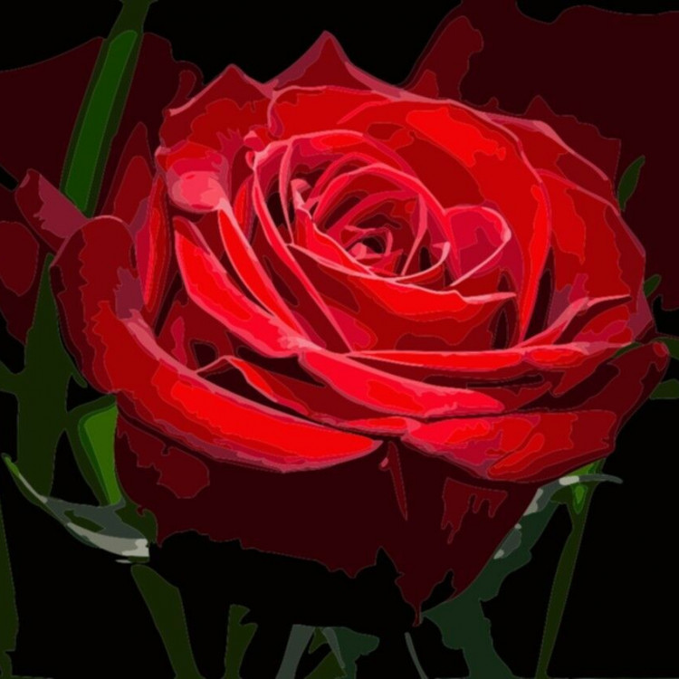 Картина для малювання за номерами (Червона троянда) 40*50 см. в картон. короб. пенз. фарби. арт.5739 VGR - фото №1
