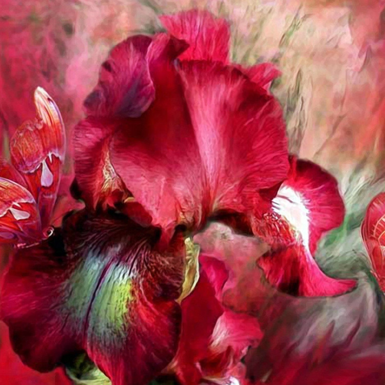 Картина для малювання за номерами 40*50 см. в картон. короб. пенз. фарби. арт. VR25161, VGR - фото №1