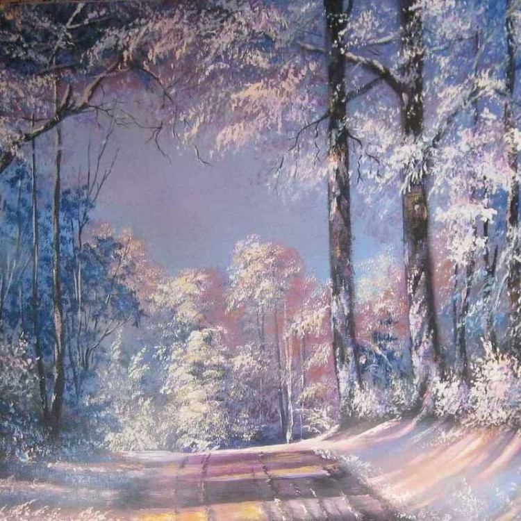 Картина для малювання за номерами 40*50 см. в картон. короб. пенз. фарби. арт. VR25189, VGR - фото №1