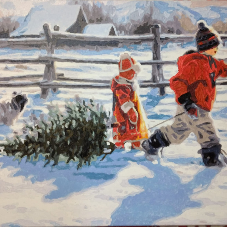 Картина для малювання за номерами 40*50 см. в картон. короб. пенз. фарби. арт. VR25190, VGR - фото №1