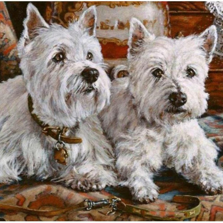 Картина для малювання за номерами 40*50 см. в картон. короб. пенз. фарби. арт. VR25197, VGR - фото №1