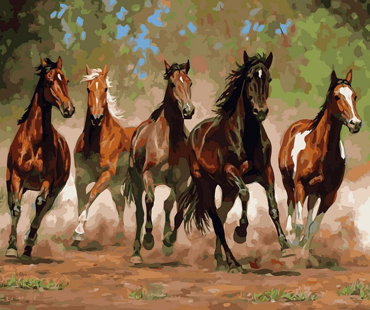 Картина для малювання за номерами 40*50 см. в картон. короб. пенз. фарби. арт. VR25199, VGR - фото №1