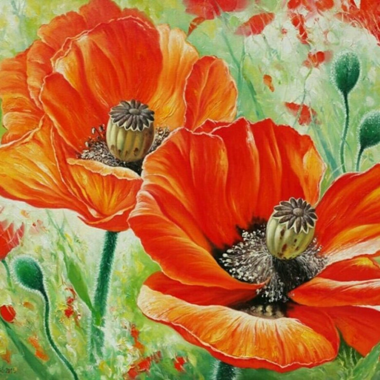 Картина для малювання за номерами 40*50 см. в картон. короб. пенз. фарби. арт. VR25217, VGR - фото №1