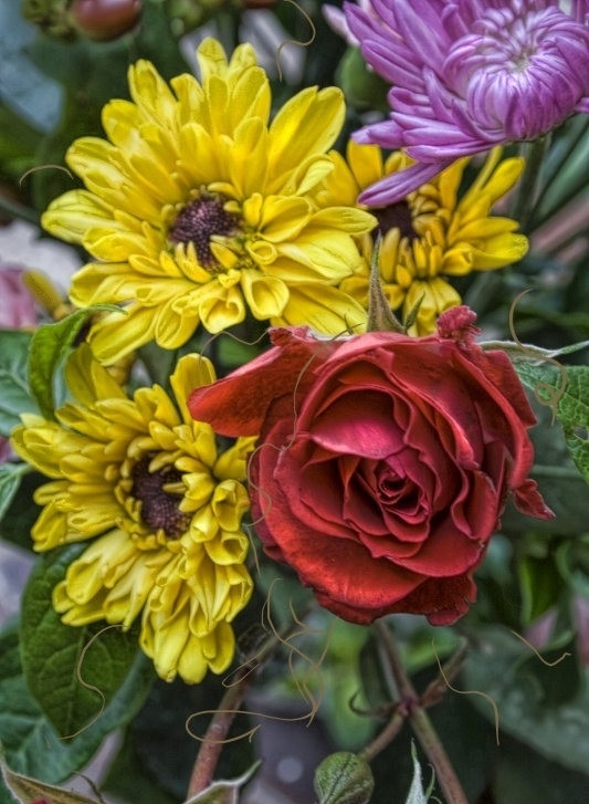 Картина для малювання за номерами 40*50 см. в картон. короб. пенз. фарби. арт. VR25223, VGR - фото №1