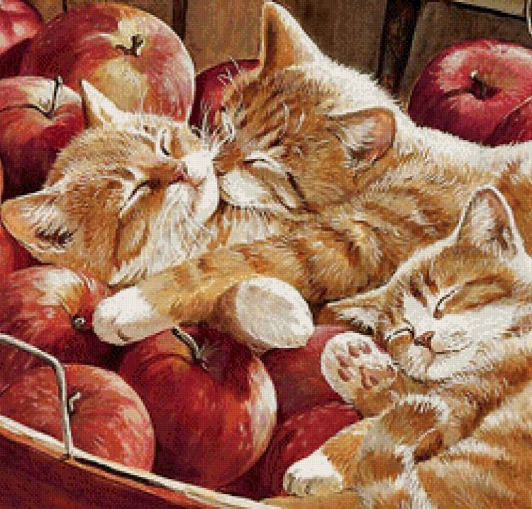 Картина для малювання за номерами 40*50 см. в картон. короб. пенз. фарби. арт. VR25238, VGR - фото №1