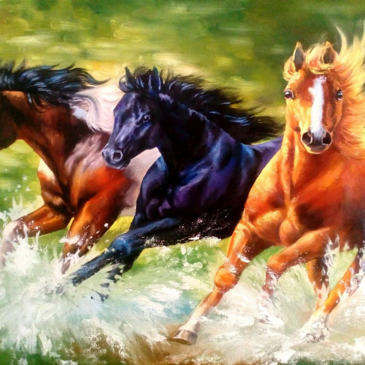 Картина для малювання за номерами 40*50 см. в картон. короб. пенз. фарби. арт. VR25255, VGR - фото №1