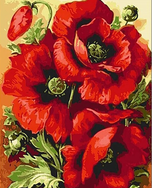 Картина для малювання за номерами 40*50 см. в картон. короб. пенз. фарби. арт. VR25257, VGR - фото №1