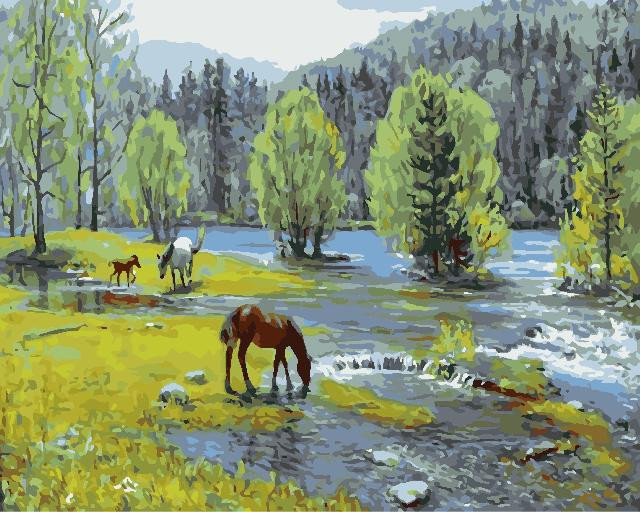 Картина для малювання за номерами 40*50 см. в картон. короб. пенз. фарби. арт. VR25275, VGR - фото №1