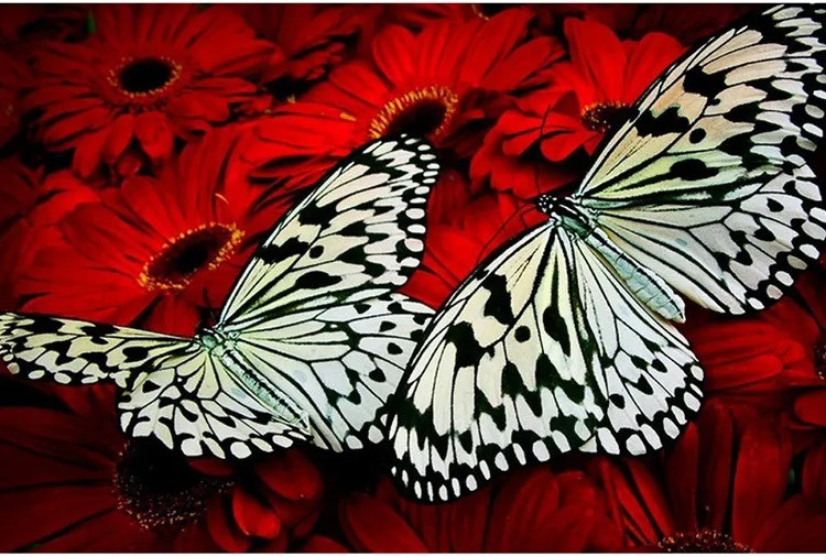 Картина для малювання за номерами 40*50 см. в картон. короб. пенз. фарби. арт. VR25299, VGR - фото №1