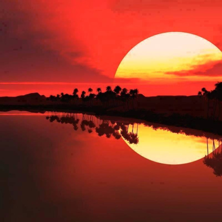 Картина для малювання за номерами 40*50 см. в картон. короб. пенз. фарби. арт. VR25310, VGR - фото №1