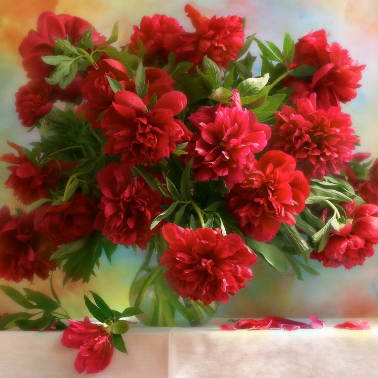 Картина для малювання за номерами 40*50 см. в картон. короб. пенз. фарби. арт. VR25316, VGR - фото №1