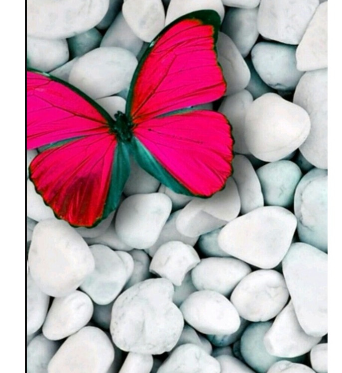 Картина для малювання за номерами 40*50 см. в картон. короб. пенз. фарби. арт. VR25322, VGR - фото №1