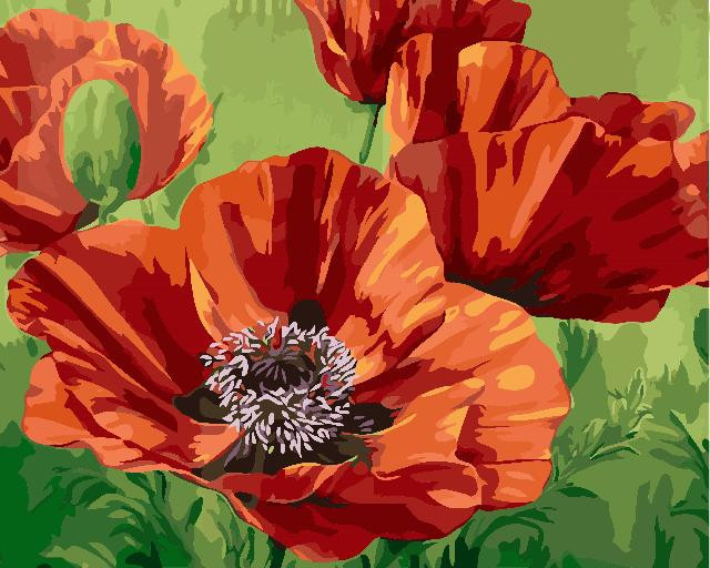 Картина для малювання за номерами 40*50 см. в картон. короб. пенз. фарби. арт. VR25351, VGR - фото №1