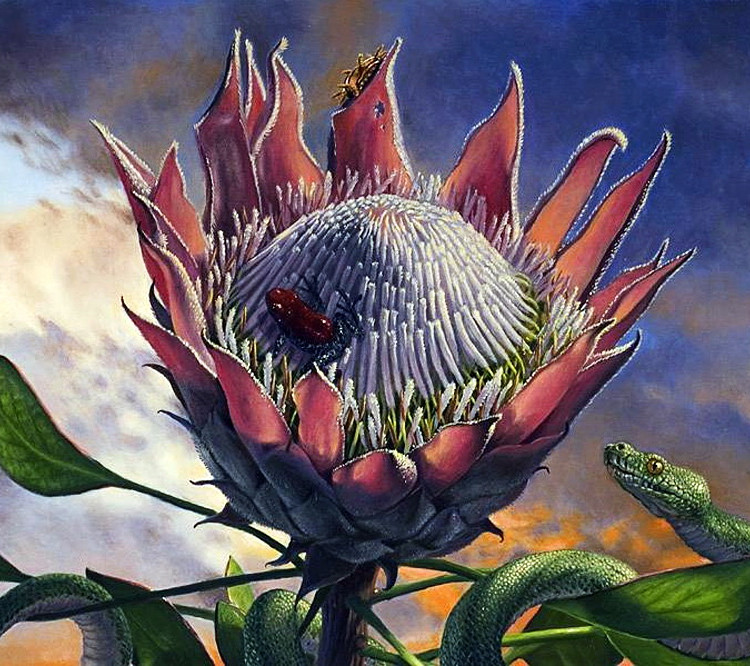 Картина для малювання за номерами 40*50 см. в картон. короб. пенз. фарби. арт. VR25380, VGR - фото №1