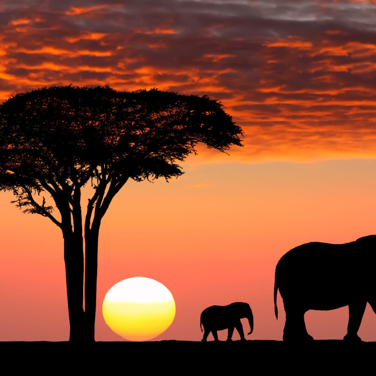 Картина для малювання за номерами 40*50 см. в картон. короб. пенз. фарби. арт. VR25381, VGR - фото №1