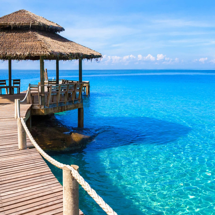 Картина для малювання за номерами 40*50 см. в картон. короб. пенз. фарби. арт. VR25391, VGR - фото №1