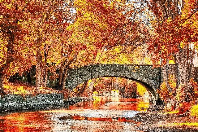 Картина для малювання за номерами 40*50 см. в картон. короб. пенз. фарби. арт. VR25399, VGR - фото №1