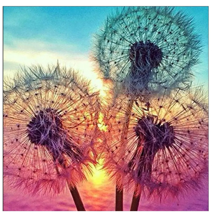 Картина для малювання за номерами 40*50 см. в картон. короб. пенз. фарби. арт. VR25410, VGR - фото №1