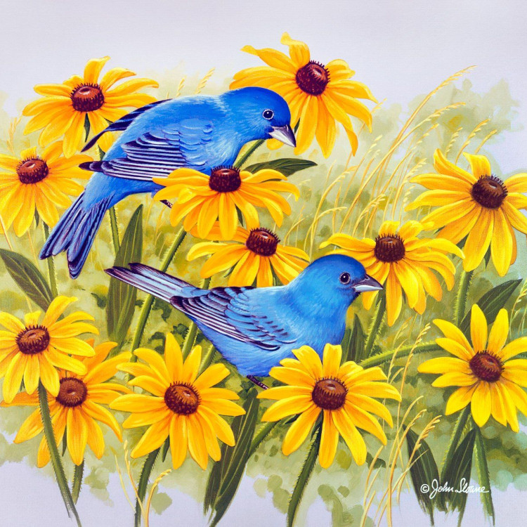 Картина для малювання за номерами 40*50 см. в картон. короб. пенз. фарби. арт. VR25413, VGR - фото №1