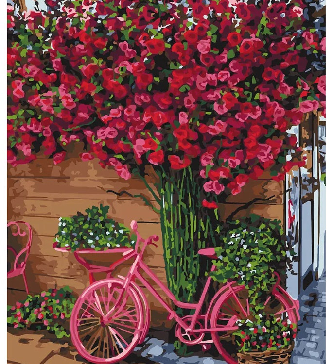 Картина для малювання за номерами 40*50 см. в картон. короб. пенз. фарби. арт. VR25438, VGR - фото №1