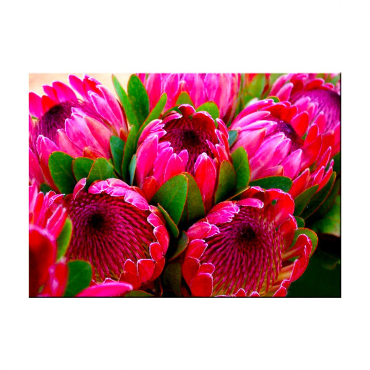 Картина для малювання за номерами 40*50 см. в картон. короб. пенз. фарби. арт. VR25443, VGR - фото №1