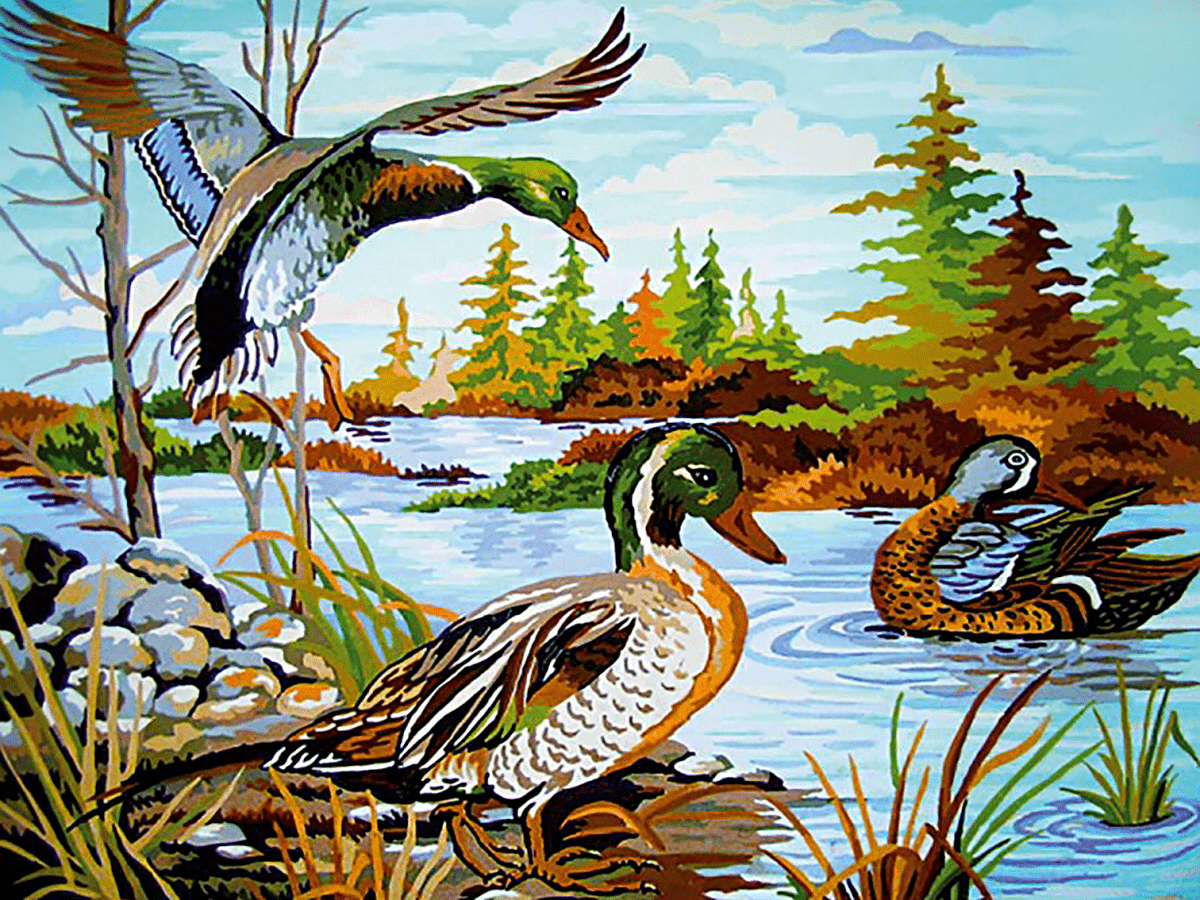 Картина для малювання за номерами  40*50 см. в картон. короб. пенз. фарби. арт. VR25126, VGR