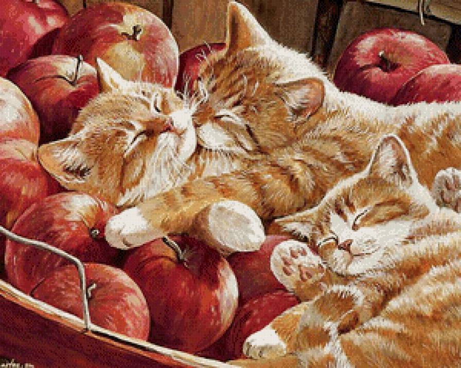 Картина для малювання за номерами  40*50 см. в картон. короб. пенз. фарби. арт. VR25238, VGR