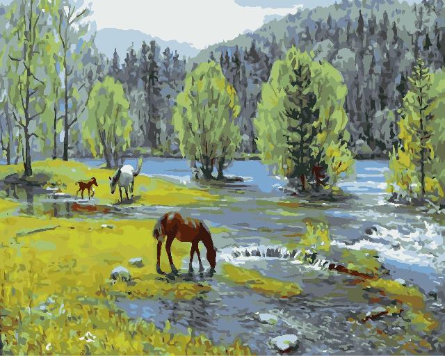 Картина для малювання за номерами  40*50 см. в картон. короб. пенз. фарби. арт. VR25275, VGR