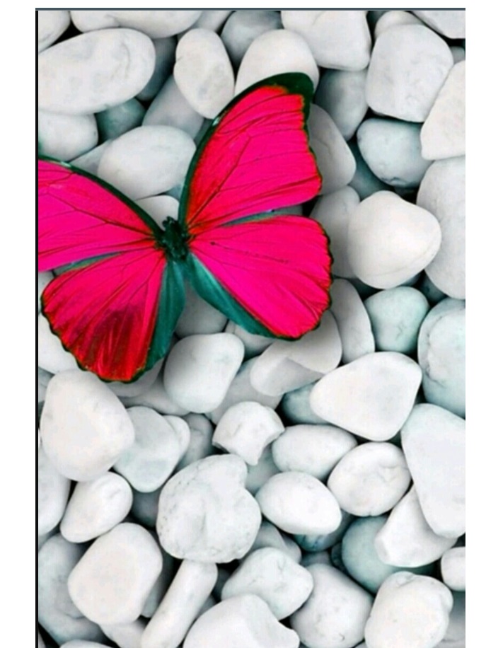 Картина для малювання за номерами  40*50 см. в картон. короб. пенз. фарби. арт. VR25322, VGR