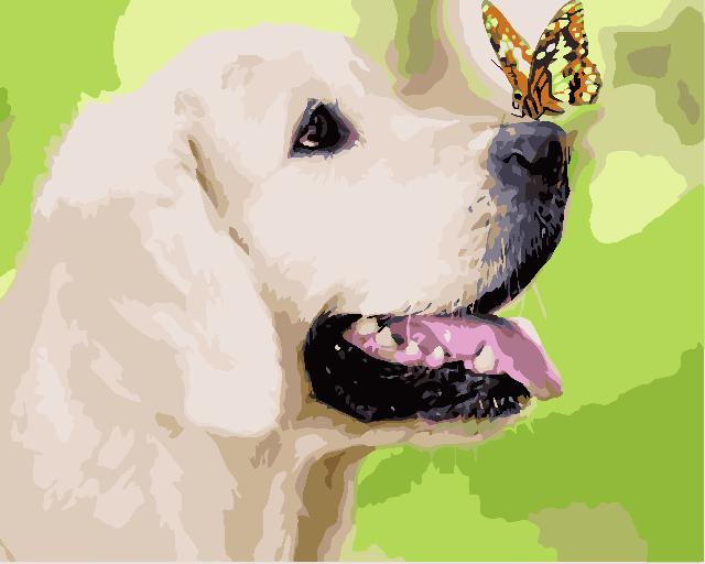 Картина для малювання за номерами  40*50 см. в картон. короб. пенз. фарби. арт. VR25377, VGR