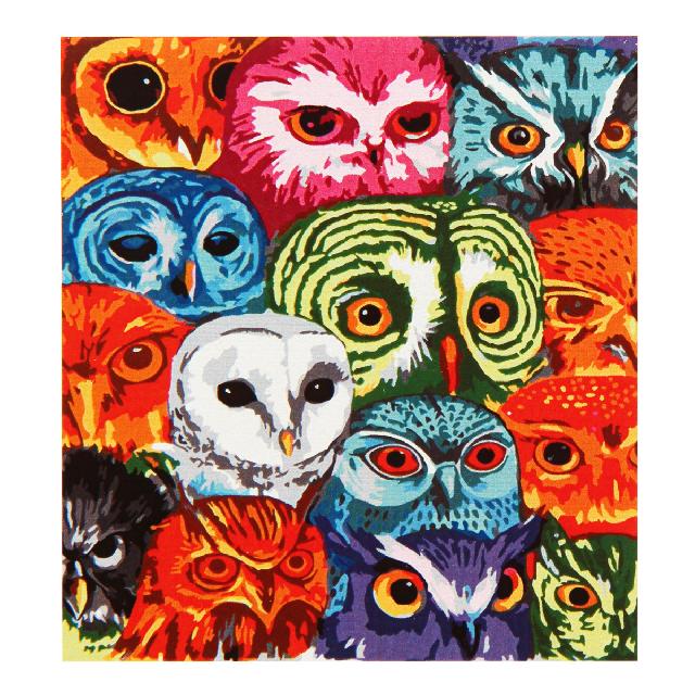 Картина для малювання за номерами  40*50 см. в картон. короб. пенз. фарби. арт. VR25401, VGR