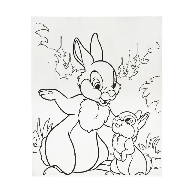 Полотно-розмальовка з контуром на картоні "Зайчики", 20*25см., арт.20*25-2